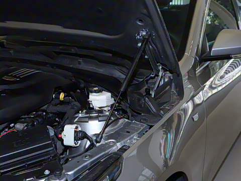 2023�� 25T ������