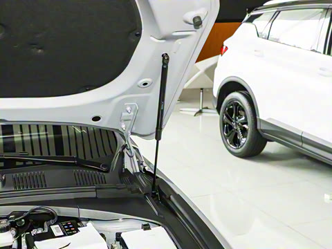 2025�� ������ 2.0TD �񳯰�