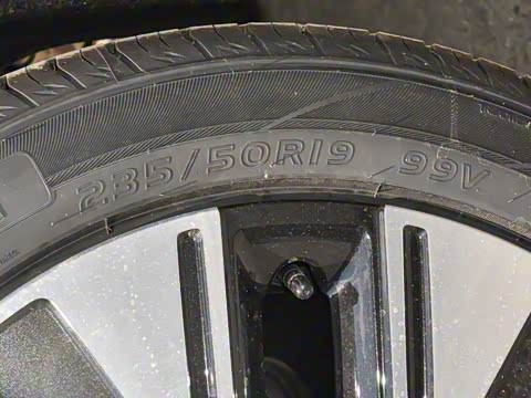 2026�� 165km ������������Max 7��