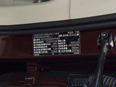 2026�� ���ʽ�춯 �������������ź�����