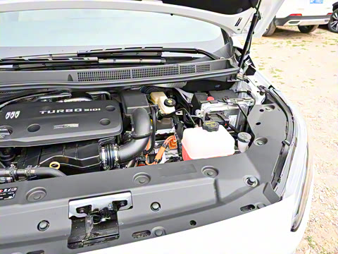 2025�� ½�� ������ 7��