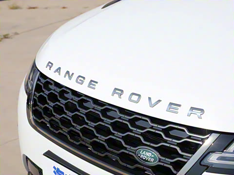 2022�� ����L P300e ���ʽ�綯��ϰ�