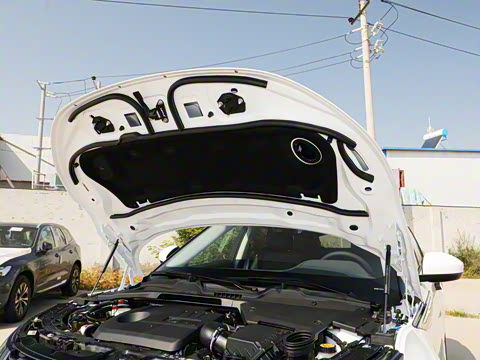 2022�� ����L P300e ���ʽ�綯��ϰ�