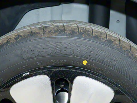 2025�� 333km ������