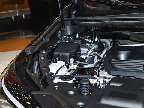 2025�� 260 ǰ�� �ر��