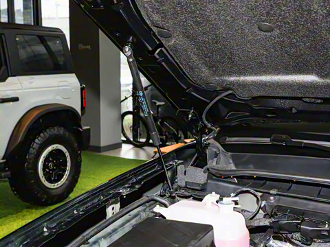 2025�� ̽�������Զ��� ����