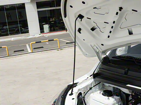 2025�� 305km ������