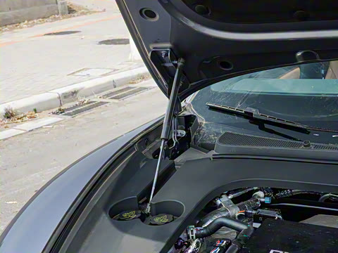 2025�� DM-i 200KM�����״�������