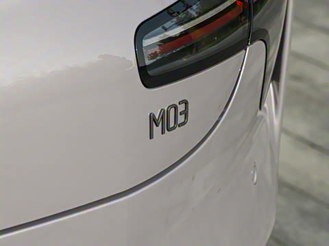 2025�� 600 �������� Max