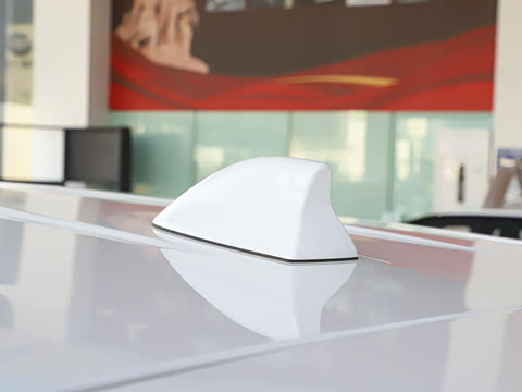 2021�� �г���չ��