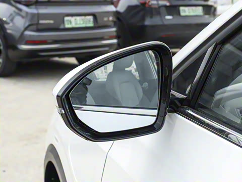 2025�� 565km ������