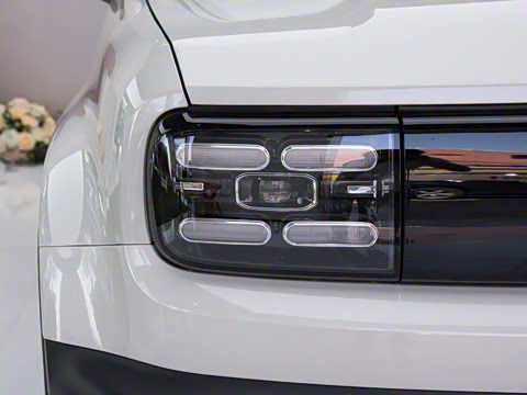 2026�� 501km�����