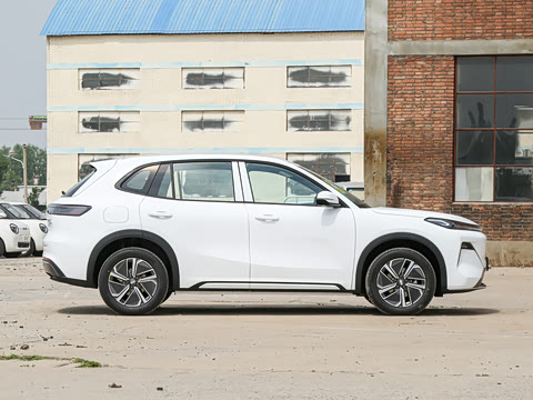 2025�� 55km ̽����