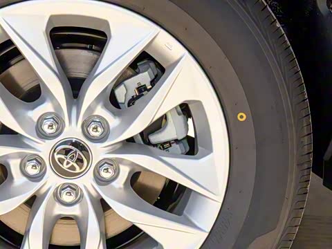 2025�� �߶������ǳ���