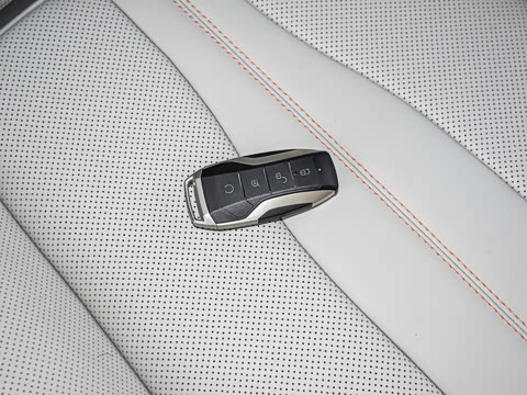 2021�� DM-i 110KM �콢PLUS 5G��