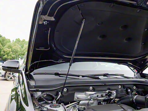 2025�� ;��X 380TSI �������ڰ�