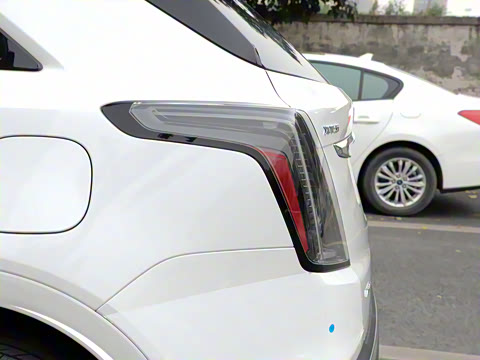 2021�� 28T ���������˶���