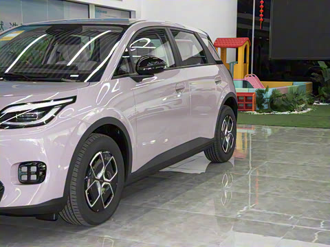 2025�� 330�ǻ԰�