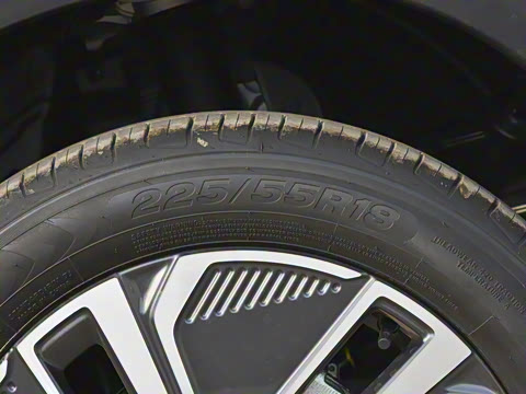 2025�� 55km ̽����