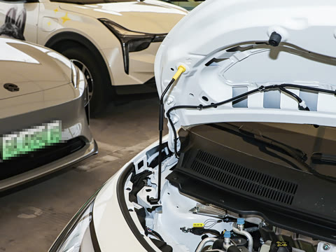 2025�� 330�ǻ԰�