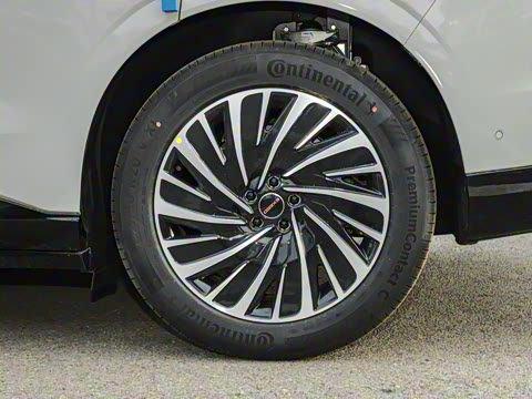 2025�� ���� 265 Max��������������ʻ