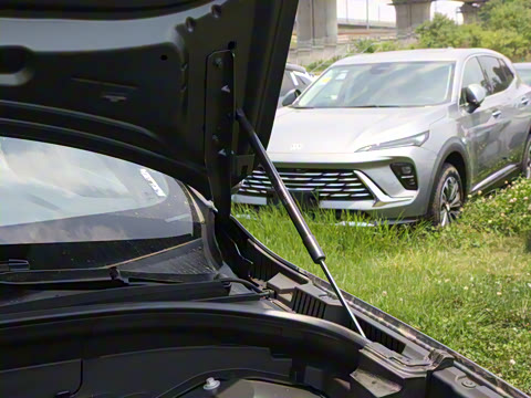 2026�� B5 �������ݺ�����