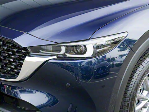 2025�� 2.0L �Զ�����������