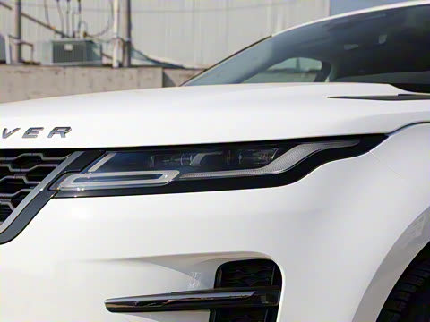 2022�� ����L P300e ���ʽ�綯��ϰ�