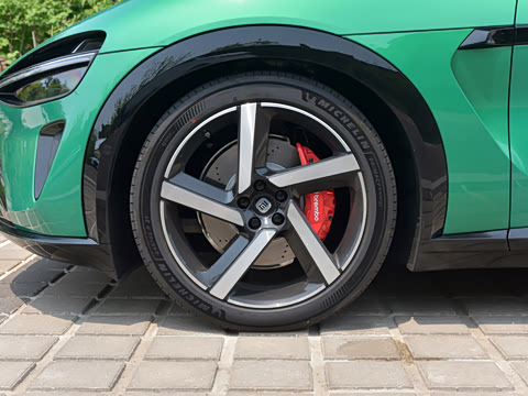 2025�� ������������������Max��