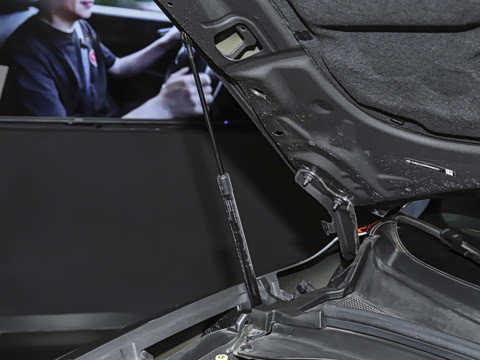 2024�� 2.0T 268HP AWD Veloce������