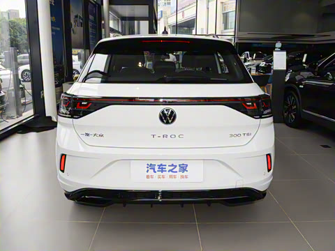 2025�� �Ŀ�� 300TSI DSG���������