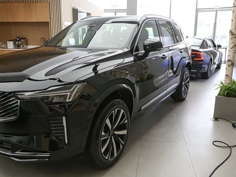 2025�� �Ŀ� T8 ��Զ������ 7��