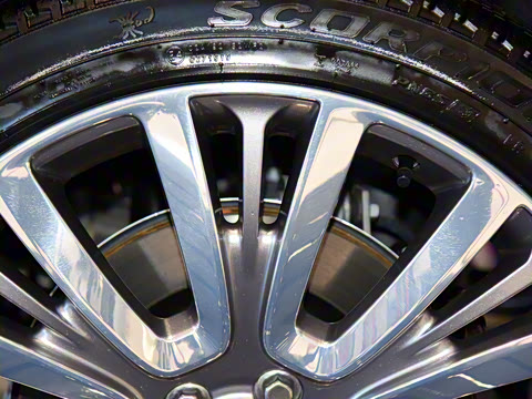 2022�� 5.0 SC V8 565PS SVA�۷��ذ�