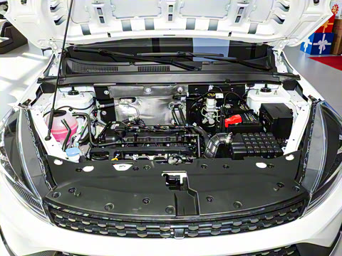 2025�� 1.5L �ֶ����ʰ�