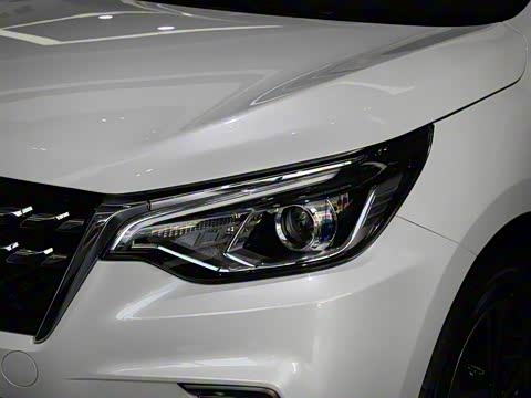 2019�� 1.4T �ֶ������