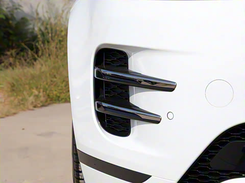 2022�� ����L P300e ���ʽ�綯��ϰ�