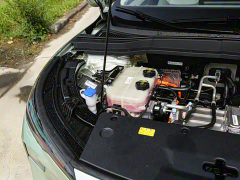 2025�� 445km ���ð�