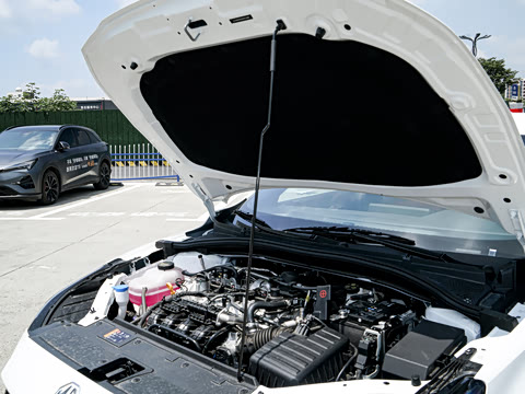 2026�� 180DVVT ȫ�����Ȱ�