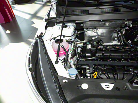 2025�� 1.5L �ֶ����ʰ�