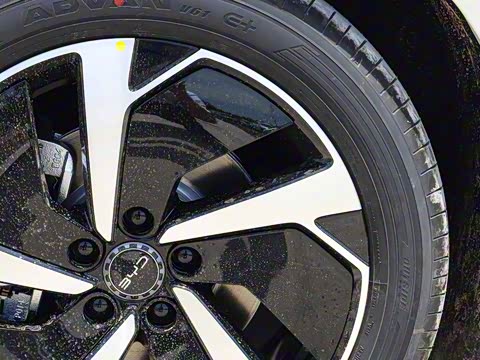 2025�� DM-i 170�캽Pro��