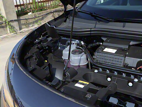 2025�� ������������ʿPRO��