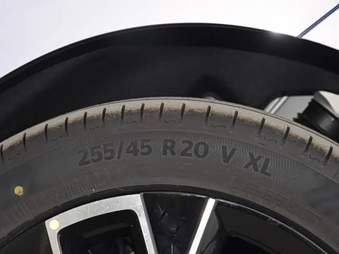 2025�� Max�����