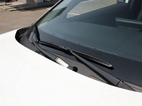 2023�� 2.0L ������