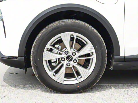 2025�� 565km ������