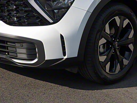 2023�� 2.0T �����콢��