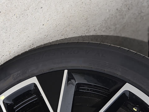 2025�� Max�����