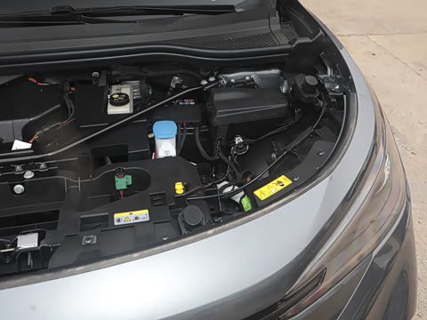 2025�� �Ŀ� ������ ����������