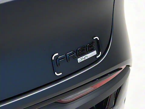 2022�� DNA �����