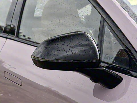 2025�� 650 ������