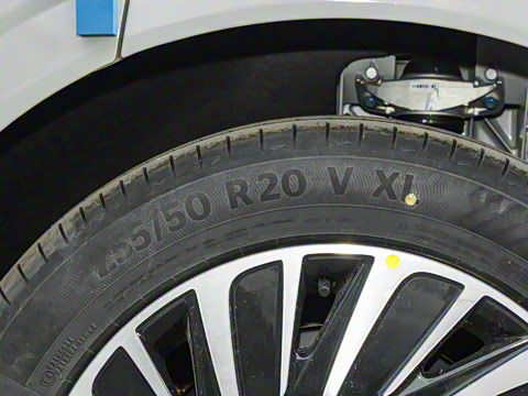 2025�� ���� 265 Max��������������ʻ